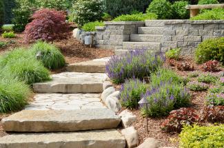 landscaped garden steps