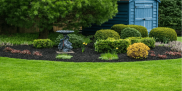 Black Mulch