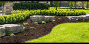 Brown Mulch