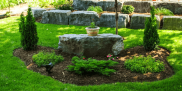 Brown Mulch