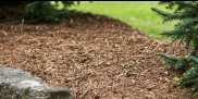 Cedar Mulch