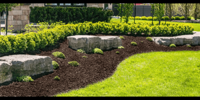 Brown Mulch