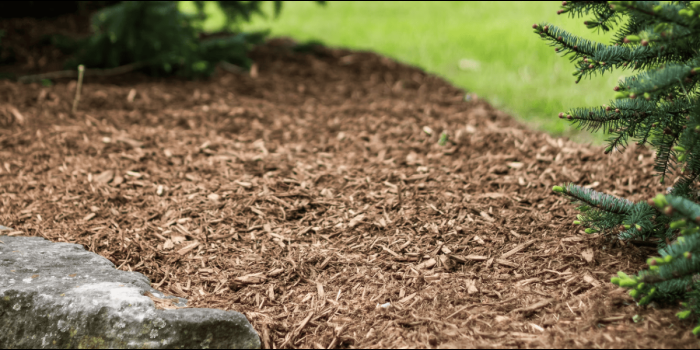 Cedar Mulch