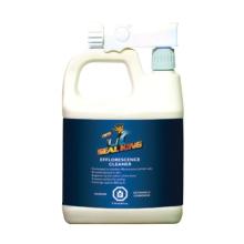 Efflorescence Cleaner