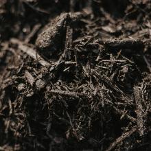 Bulk - $29.99 / ½ Yard