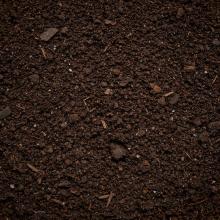 Bulk - $29.99 / ½ Yard